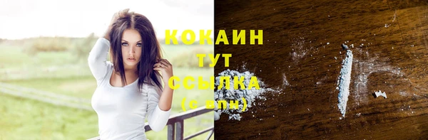 амф Гусь-Хрустальный