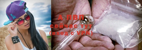 молекула духа Гусев