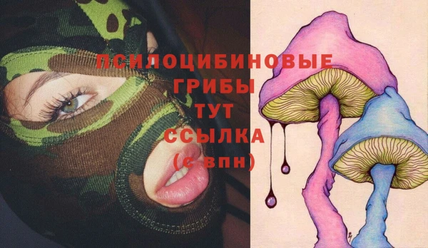 амф Гусь-Хрустальный