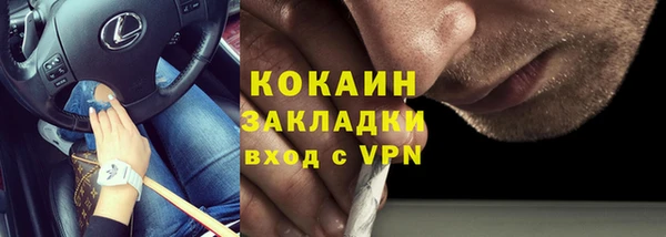 молекула духа Гусев