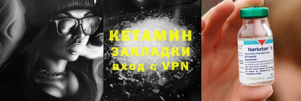 амф Гусь-Хрустальный