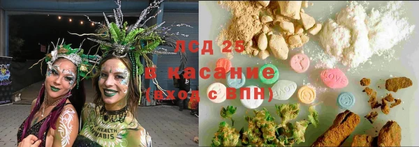 молекула духа Гусев