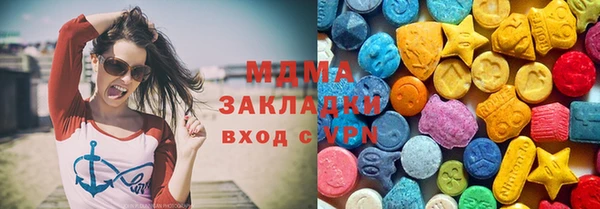 амф Гусь-Хрустальный