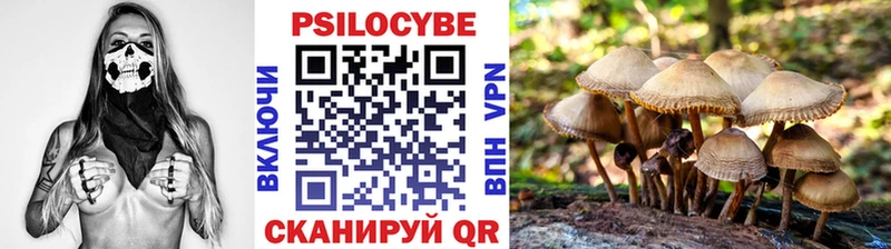 Псилоцибиновые грибы GOLDEN TEACHER  цены   Уфа 